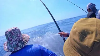FISHING | MALDIVES | TUNA