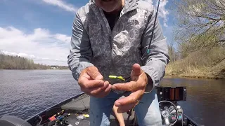 Using Inline Spinners for Smallmouth Bass