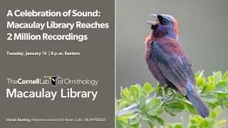 A Celebration of Sound: Macaulay Library Reaches 2 Million Recordings