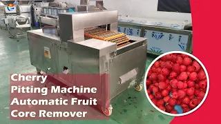 Automatic Fast Cherry Pitting Machine Fruit Core Removing Machine