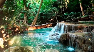 Rainforest Sounds - Water Sound Nature Meditation