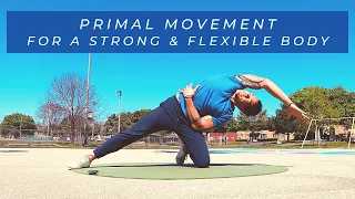 MOVEMENT TRAINING | Bodyweight Workout for STRENGTH & FLEXIBILITY