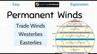 Permanent Winds | Trade winds Westerlies and Polar Easterlies