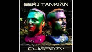 Elasticity - Vocal(no guitar) - Serj Tankian