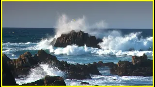 Ocean Sounds Only (NO MUSIC) Aquatic Dream Therapy - Zen Ocean Waves