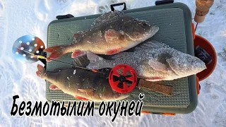 Ловля капризного окуня на безмотылку.Открывем сезон.Моя  простая мормышка нимфа опять ловит!