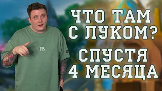 ЛУК ОБЗОР СПУСТЯ ЧЕТЫРЕ МЕСЯЦА ЧТО ДАЛЬШЕ!?