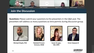 GAINS Webinar: The Future of Teleservices in Drug Courts Part 3