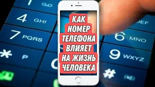 Как номер телефона влияет на жизнь человека