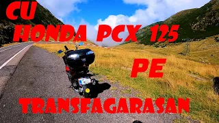 Honda PCX 125 pe Transfagarasan. Ursi cat vezi cu ochii ! Aventura strigati ura ! S1/EP2