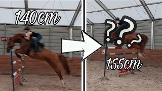 Potęga skoku | 155 cm na koniu