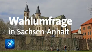 Sachsen-Anhalt: Umfrage vor der Landtagswahl
