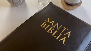 Biblia Letra Grande 14 puntos-Perfecta para el Estudio