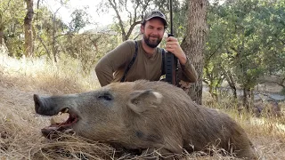 Wild Pig Hunt with Oak Stone Outfitters