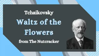 Tchaikovsky - Waltz of the Flowers from The Nutcracker