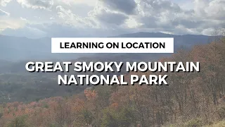 Great Smoky Mountain National Park | Must See & Do, Tips for Visiting, & More!