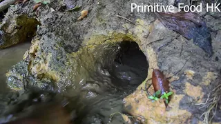 Primitive life: Girl Solo Bushcraft - Build big hole to lure fish, catch many catfish