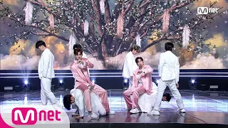 [B.O.Y - Miss You] KPOP TV Show | M COUNTDOWN 200924 EP.683 | Mnet 200924 방송