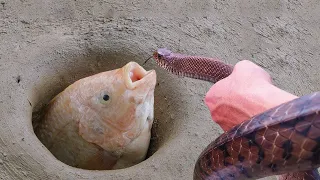 Use Snake Catch Fish From Hole - How To Catch Fish #003