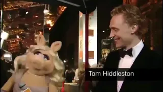 Tom being a cutie with Miss Piggy.