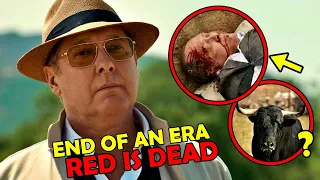 The Blacklist Series Finale | Who is Reddington, How Does He Die? All You Need to Know +  Ending...