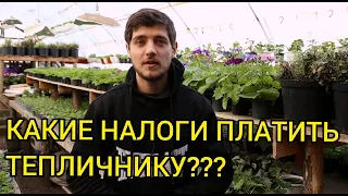 ЛПХ ИП КФХ ООО САМОЗАНЯТЫЙ - что лучше для тепличного бизнеса?