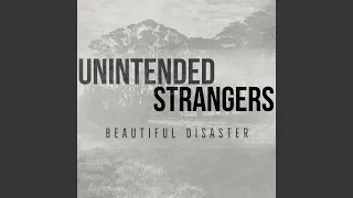 Beautiful Disaster