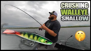 CRUSHING shallow-water walleye on a NEW bait!