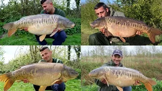 Carp Fishing Cottington Lakes 2015 (Including 10 fish over 30lbs to 42lbs)