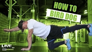 How To Do The ALTERNATING BIRD DOG EXERCISE | Exercise Demonstration Video and Guide