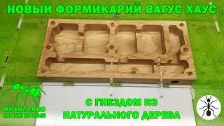 Обзор формикария Вагус Хаус с гнездом из натурального дерева