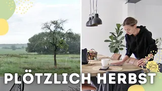 Plötzlich ist es Herbst 🍂 Fangen wir an mit der Herbstputzroutine im Haus 🍂 Alenas Momlife