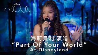 海莉貝利精彩演唱《小美人魚》電影主題曲"PART OF YOUR WORLD" AT DISNEYLAND