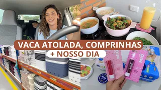 PREPARANDO NOSSO ALMOÇO, LOJA DE UTILIDADES, COMPRINHAS DE FARMÁCIA, FAZENDO AS UNHAS + NOSSO DIA