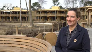 Making-of Safari Hotel: de laatste puntjes op de 'i'