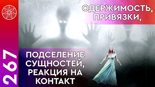 #267 Что такое шизофрения? Одержимость, привязки, подселение сущностей, реакция на контакт.