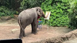 Elephant Drawing beautiful paintings Safari World Elephant Show
