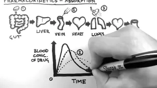 Pharmacokinetics 2  - Absorption