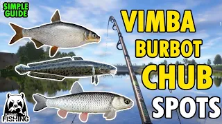 Volkhov River Spots : VIMBA - CHUB - BURBOT | Russian Fishing 4