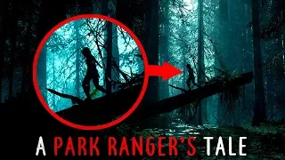 "A Park Ranger's Tale" | CreepyPasta Storytime