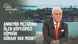 Annemin mezarı üzerine köpeğimizi gömdük günahı nedir? -  Nihat Hatipoğlu ile Kur'an ve Sünnet