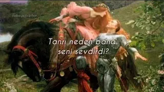 Historia De Un Amor (türkçe çeviri)