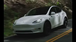 How do I update the software for the Tesla Model 3 and Model Y?