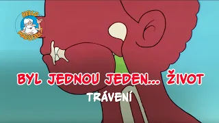 Byl jednou jeden... život 🌱 Trávení 🥡