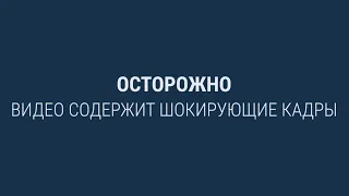 9 человек погибли, 19 ранены после обстрела Харькова войсками РФ