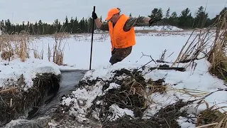 Frozen Beaver Dam Removal Day 4