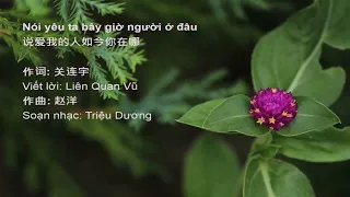 [Vietsub Pinyin] Người nói yêu ta bây giờ ngươi ở đâu ‖ 说爱我的人如今你在哪 ‖ 演唱: 赵洋 ‖ Biểu diễn: Triệu dương