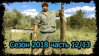 4 месяца в тайге Сезон 2018 часть 12/13 Сидоровск. Рыбалка , Вертушка bushcraft.