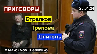 День приговоров: Трепова, Стрелков, Шпигель. Ил-76 над Белгородом. С Максимом Шевченко 25.01.24