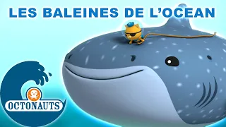 Octonauts - Les baleines de l'océan | Dessins animés pour enfants